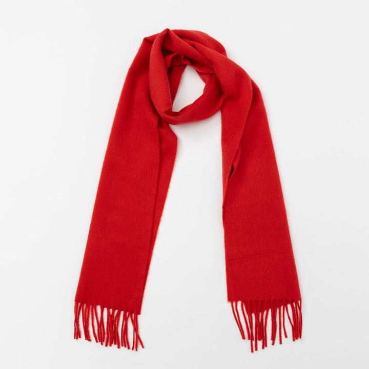 Classic Festive Red